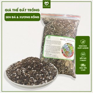 Giá Thể Đất Trồng Cây Sen Đá, Xương Rồng Chuẩn Loại 1 - Đầy  Đủ Dinh Dưỡng, Thoát Nước Tốt(1KG)