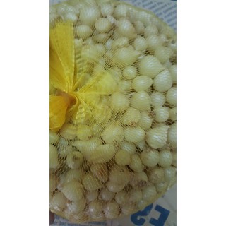 Củ nén (hành tăm).