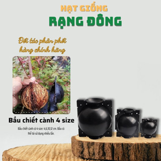 Bầu Chiết Cành 4 Size - Tiện dụng, tái sử dụng nhiều lần, tiết kiệm chi phí, thời gian, độ bền cao - Hạt giống Rạng Đông