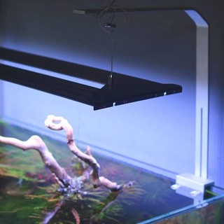 Đèn bể cá Neo Helios Flat Solar lên màu cây cá cực đỉnh ( Bảo hàng 6 tháng)