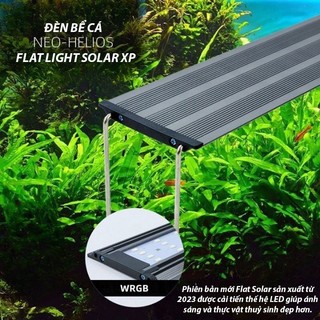 Đèn bể cá Neo Helios Flat Solar lên màu cây cá cực đỉnh ( Bảo hàng 6 tháng)