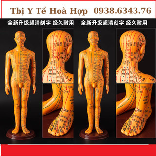 Mô hình châm cứu huyệt vị Nam, nữ - tượng người huyệt vị châm cứu