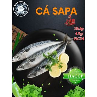 Hỏa tốc - cá sapa nhật 1kg