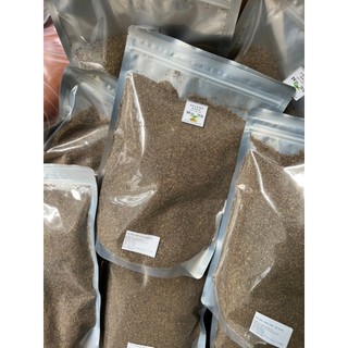 500g Celery Seed - Hạt Cần Tây SPICESUPPLY Việt Nam ướp thịt gà chiên KFC