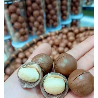 Hạt Maccadamia (nhân, vỏ). Hạt Mắc ca nhân, Mắc ca vỏ (Mắc ca Đăk Lăk-VN).