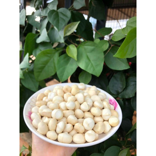 Hạt Maccadamia (nhân, vỏ). Hạt Mắc ca nhân, Mắc ca vỏ (Mắc ca Đăk Lăk-VN).