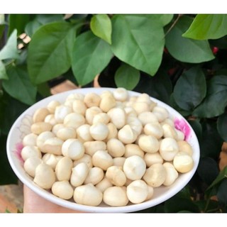 Hạt Maccadamia (nhân, vỏ). Hạt Mắc ca nhân, Mắc ca vỏ (Mắc ca Đăk Lăk-VN).