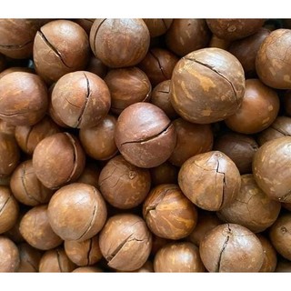 Hạt Maccadamia (nhân, vỏ). Hạt Mắc ca nhân, Mắc ca vỏ (Mắc ca Đăk Lăk-VN).