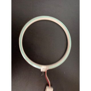 HÀO QUANG LED NEON 10cm ( đủ màu )