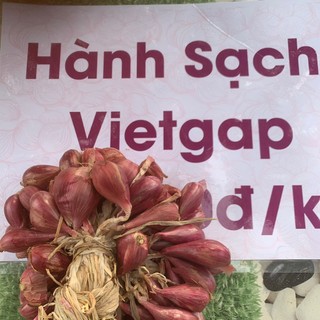 Hành Tím Phan Rang Vietgap, HTX hành tím Nhơn Hải tiêu chuẩn Ocop 3 sao
