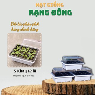 Vỉ Ươm Hạt giống 12 Lỗ có nắp ngăn côn trùng, khay chứa nước, chịu nhiệt tốt, thích hợp sen đá - Hạt giống Rạng Đông