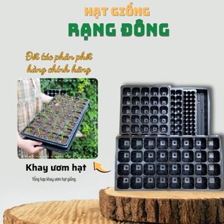 Khay Ươm Hạt giống (10 khay) chịu nhiệt tốt, độ bền cao, tái sử dụng, tiết kiệm thời gian ươm cây - Hạt giống Rạng Đông