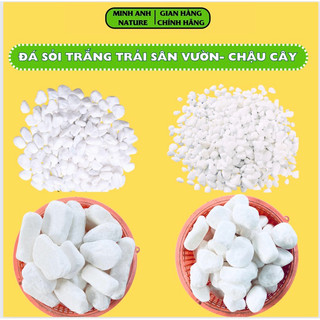 Đá Sỏi Trắng Trang Trí Sân Vườn, Trang Trí Hồ Cá, Trải Lót Sàn, Sỏi Lọc Nước,Trang Trí Chậu Cây Cảnh, Sỏi Trắng Đẹp
