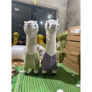 (SẴN GIAO NGAY_BẢN CAO CẤP) 𝐂𝐚𝐦𝐞𝐥 𝐀𝐥𝐩𝐚𝐜𝐚 𝐂𝐡𝐚𝐢𝐫 | 𝐆𝐡𝐞̂́ 𝐥𝐚̣𝐜 đ𝐚̀ 𝐀𝐥𝐩𝐚𝐜𝐚 𝐬𝐢𝐞̂𝐮 𝐜𝐚̂́𝐩 đ𝐚́𝐧𝐠 𝐲𝐞̂u