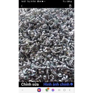 100 GAM VÍT BẮT SÒ