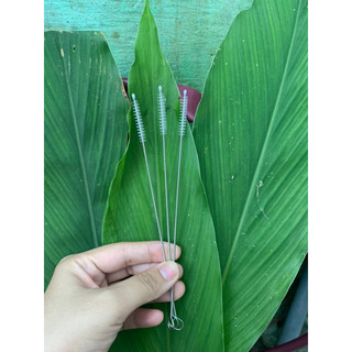 Cọ ống hút, cọ bình sữa ( sắt )