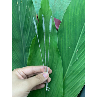Cọ ống hút, cọ bình sữa