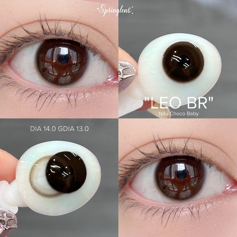 Lens mắt SF/Leo Brown nâu choco tự nhiên có giãn | Kính áp tròng @spring.lens