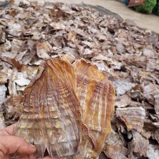 Măng le rừng gia lai/măng khô thơm giòn non phơi nắng tự nhiên