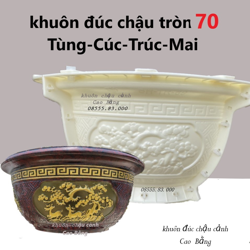 có lòng trong dễ dàng sử dụng cho người mới bắt