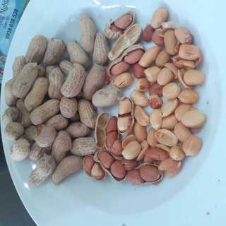 Đậu phộng rang còn vỏ bịch 450gram
