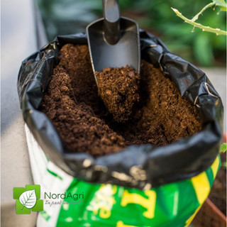Rêu than bùn - peatmoss cao cấp nord agri - 100% peat trắng | tiệm cây nhà onn