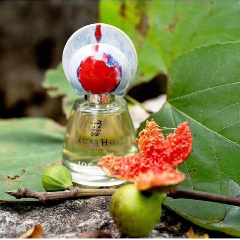 Agatho : 195 A.C ( Hương Fig thơm độc lạ)