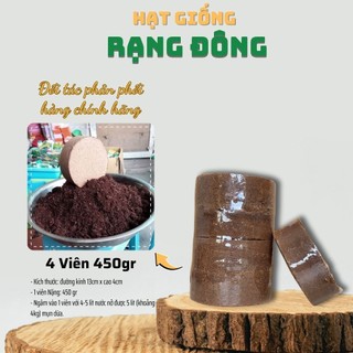 Viên Nén Xơ Dừa Trồng Rau Mầm (4 Viên 450gr) Đất trồng cây, ươm hạt giống, đã khử chua - Hạt giống Rạng Đông