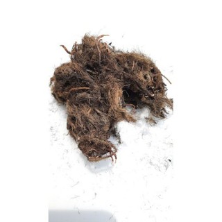 1000g rể rau mát đã phân loại rửa nước thật sạch