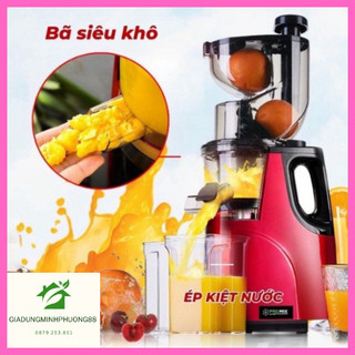 Máy ép chậm hoa quảHongxing RH-312, ép rau củ hoa quả, máy ép chậm trái cây - Bảo hành 12 tháng