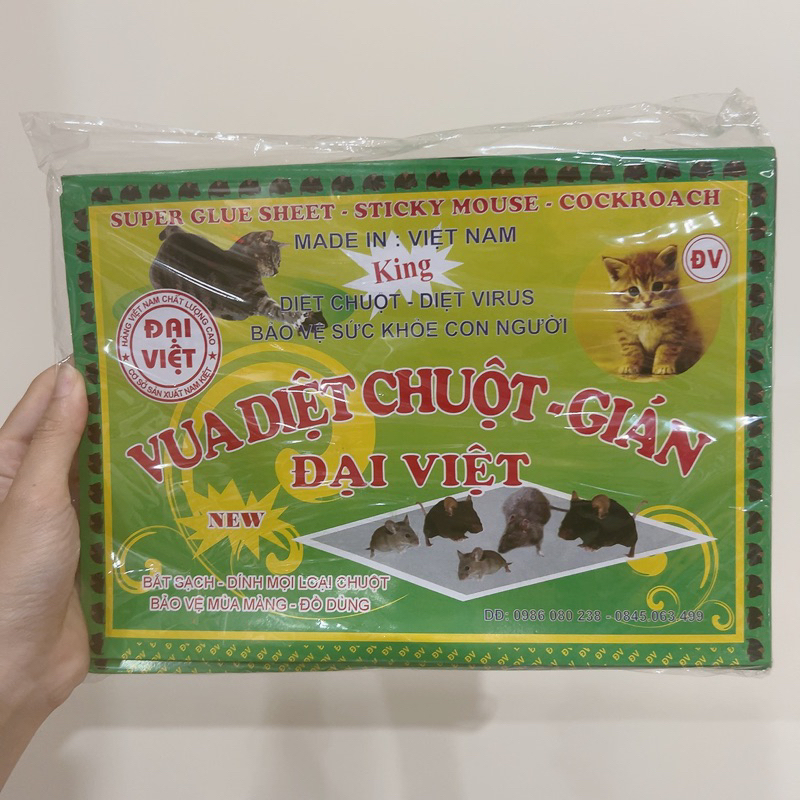 Keo dính chuột gián Đại Việt (lốc 10 cái)