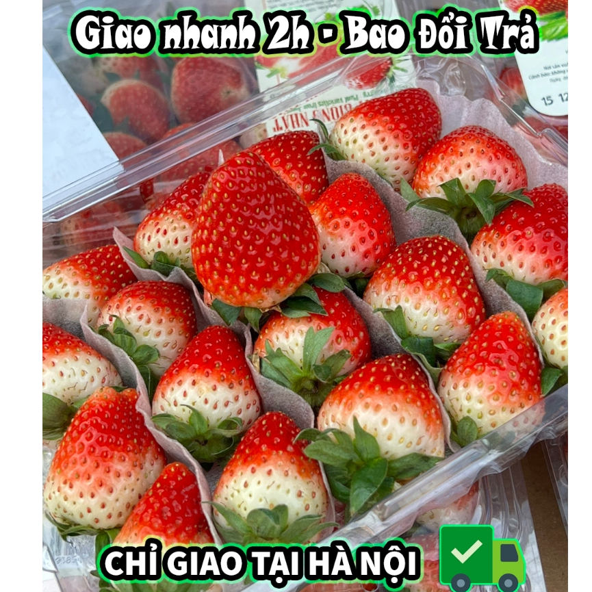 🍓 Dâu Hana *Giống Nhật*  - GOLDENFRUIT - Hoa quả nhập khẩu 🍓