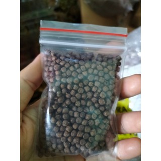 20G Cám Rùa Nước,Cá Cảnh Chất Lượng Cao,Kích Màu,Kích Size