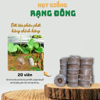 Viên Nén Xơ Dừa Ươm Hạt giống (20 viên) viên nén sơ dừa tiện dụng, tiết kiệm - Hạt giống Rạng Đông
