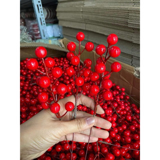 Nhánh đào đông 12 quả