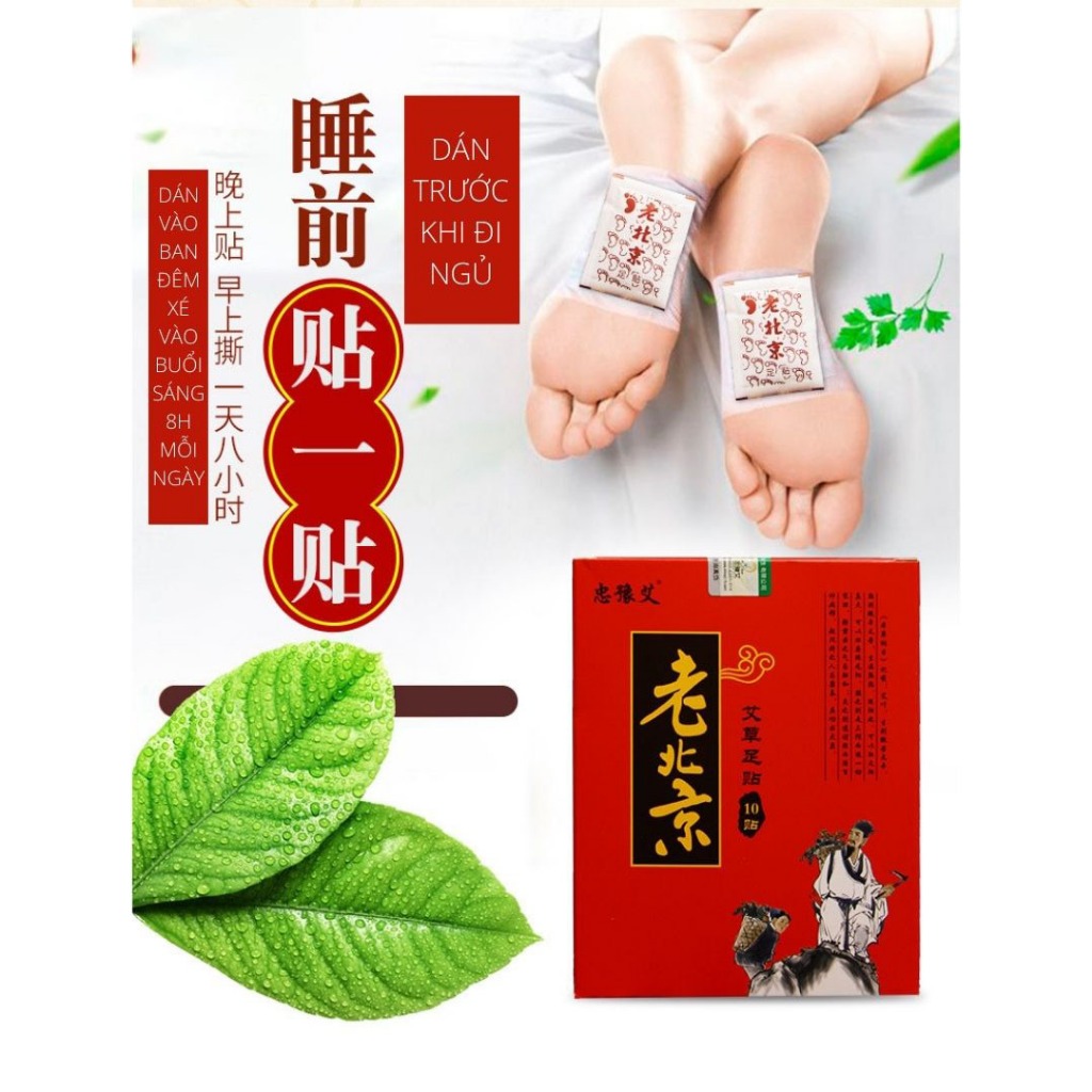 Hộp 50 Miếng Dán Thải Độc Chân Thảo Dược I Thải Độc Cơ Thể, Thư Giãn Cơ Thể Ngủ Sâu Giấc