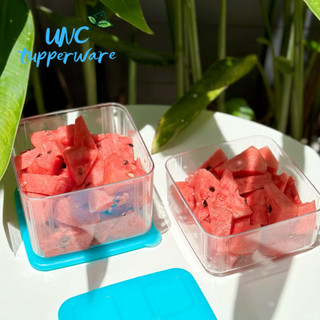 Bộ hộp trữ mát Tupperware Fresh Clear Set 5