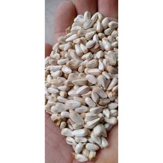 1 Kg hạt kham cho gia cầm, chuột hamster, sóc...