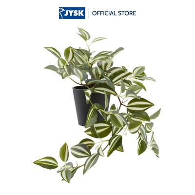 Cây trang trí | JYSK Asgar | nhựa PE/xi măng | xanh lá | C24cm