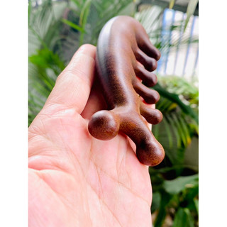 Lược matxa gỗ đàn hương