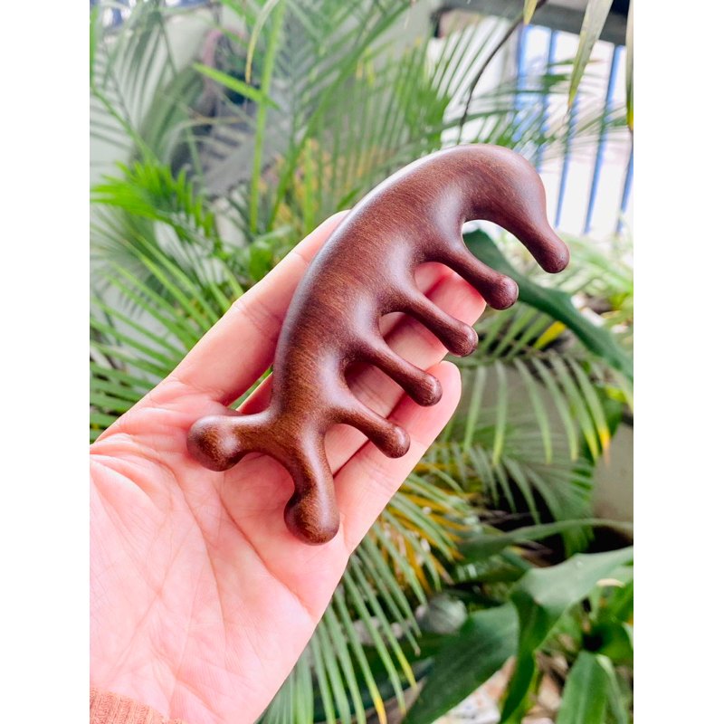 Lược matxa gỗ đàn hương
