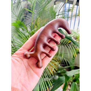 Lược matxa gỗ đàn hương