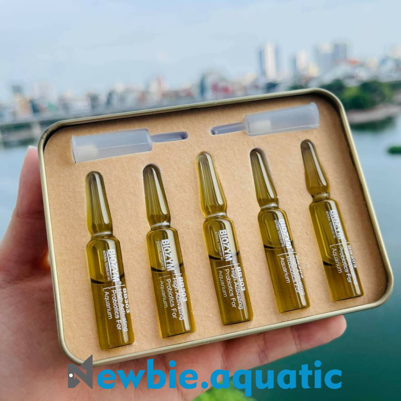 BIOZYM 303 | High Activating Probiotics for Aquarium Vi sinh sống 303 Vi sinh khởi tạo cho bể thủy s