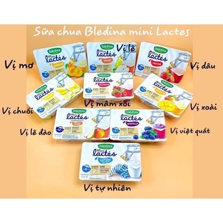 Sữa chua Bledina mini vị hoa quả 6m-36m date T5/2025