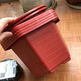  Combo 10 chậu nhựa lục giác trồng cây FA350 28x19cm 