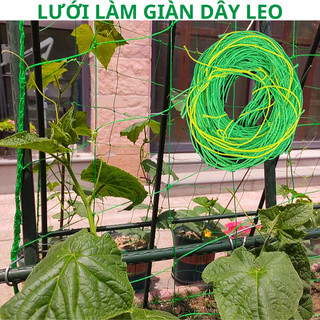 Lưới Làm Giàn Dây Leo - ô 10x10cm, có 3 size, có dây cố định 4 góc, sợi to, chắc chắn, độ bền cao
