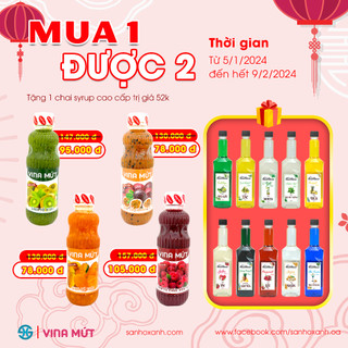 Sinh tố vina xoài 1000ml