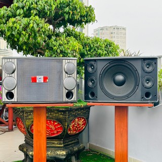 [MẪU MỚI] Loa BMB karaoke 3 tấc 2000SE - karaoke gia đình, tiệc tùng, đám cướii -  âm thanh tuyệt đỉnh