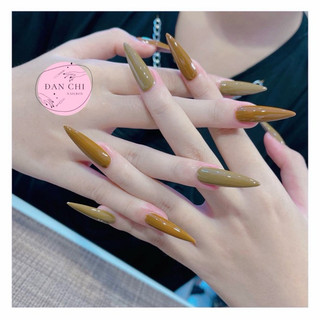 Nailbox móng úp thiết kế sẵn mẫu sơn trơn mix 2 màu nâu- rêu