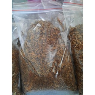 Sâu canxi sấy phồng cung cấp đạm, canxi cho gà chim